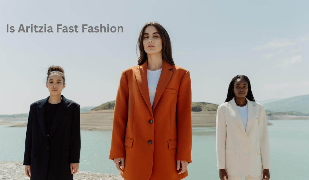 Is Aritzia Fast Fashion
